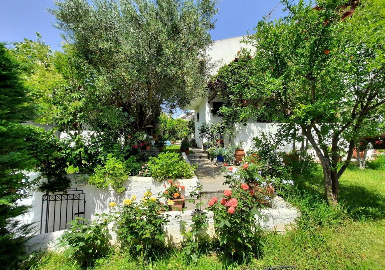 Sonia'S House With Garden Vila Gerakini Exterior foto