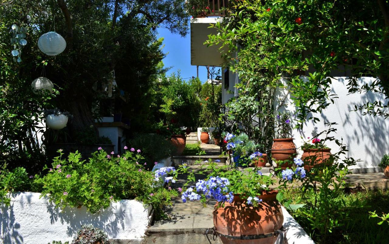 Sonia'S House With Garden Vila Gerakini Exterior foto