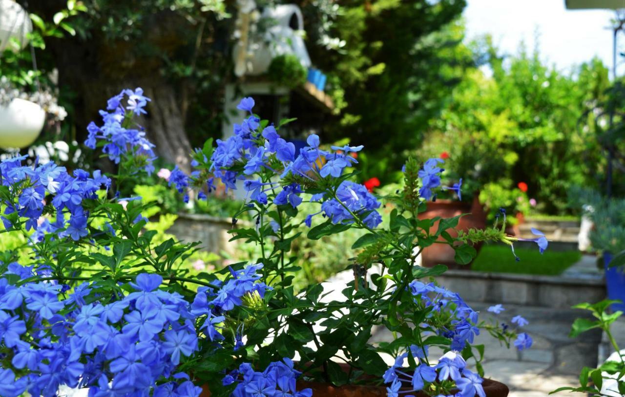 Sonia'S House With Garden Vila Gerakini Exterior foto